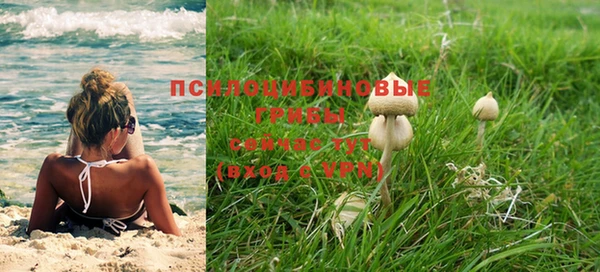 индика Бугульма
