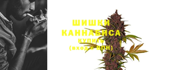индика Бугульма