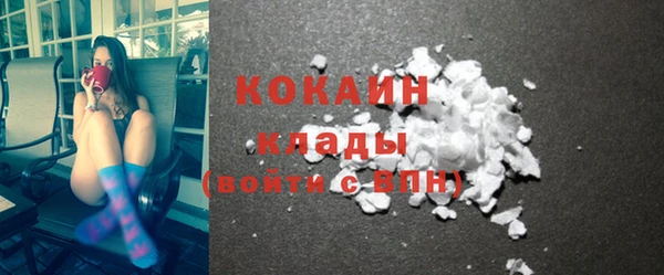 индика Бугульма