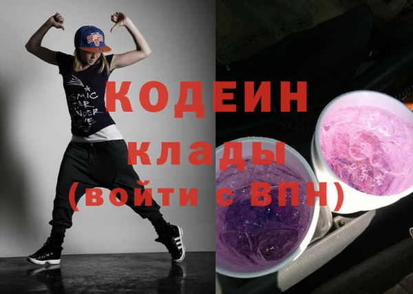индика Бугульма