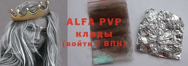 индика Бугульма