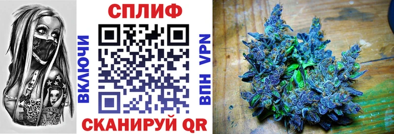 Каннабис конопля Магнитогорск